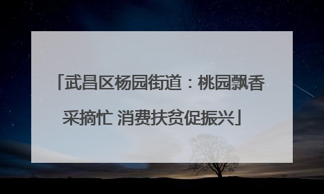 武昌区杨园街道：桃园飘香采摘忙 消费扶贫促振兴
